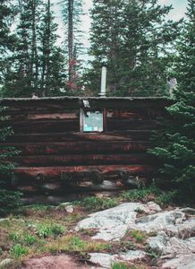 Roaming Cabin