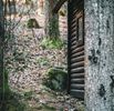 Roaming Cabin
