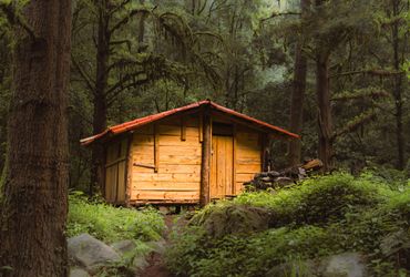 Roaming Cabin