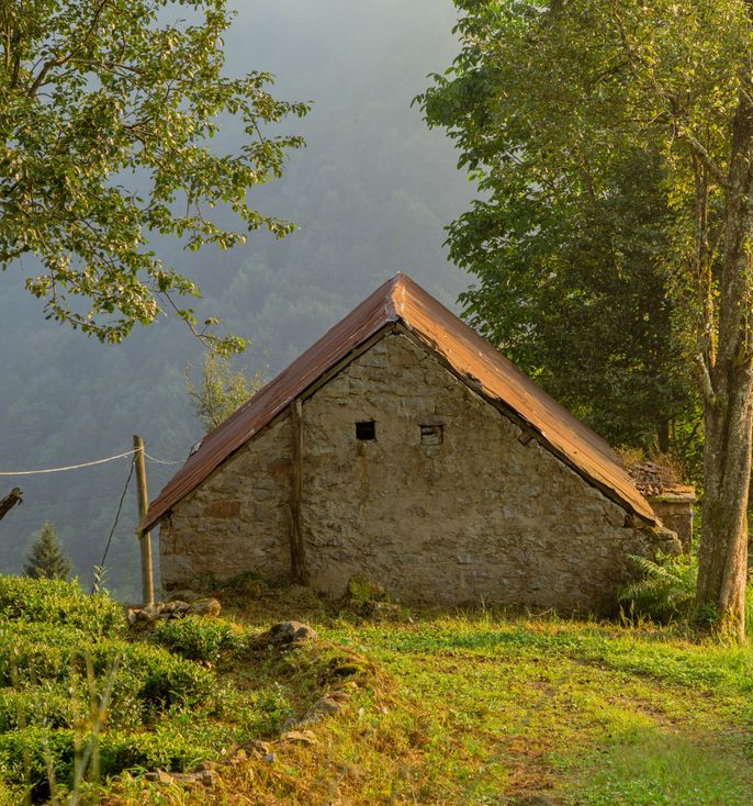 Roaming Cabin