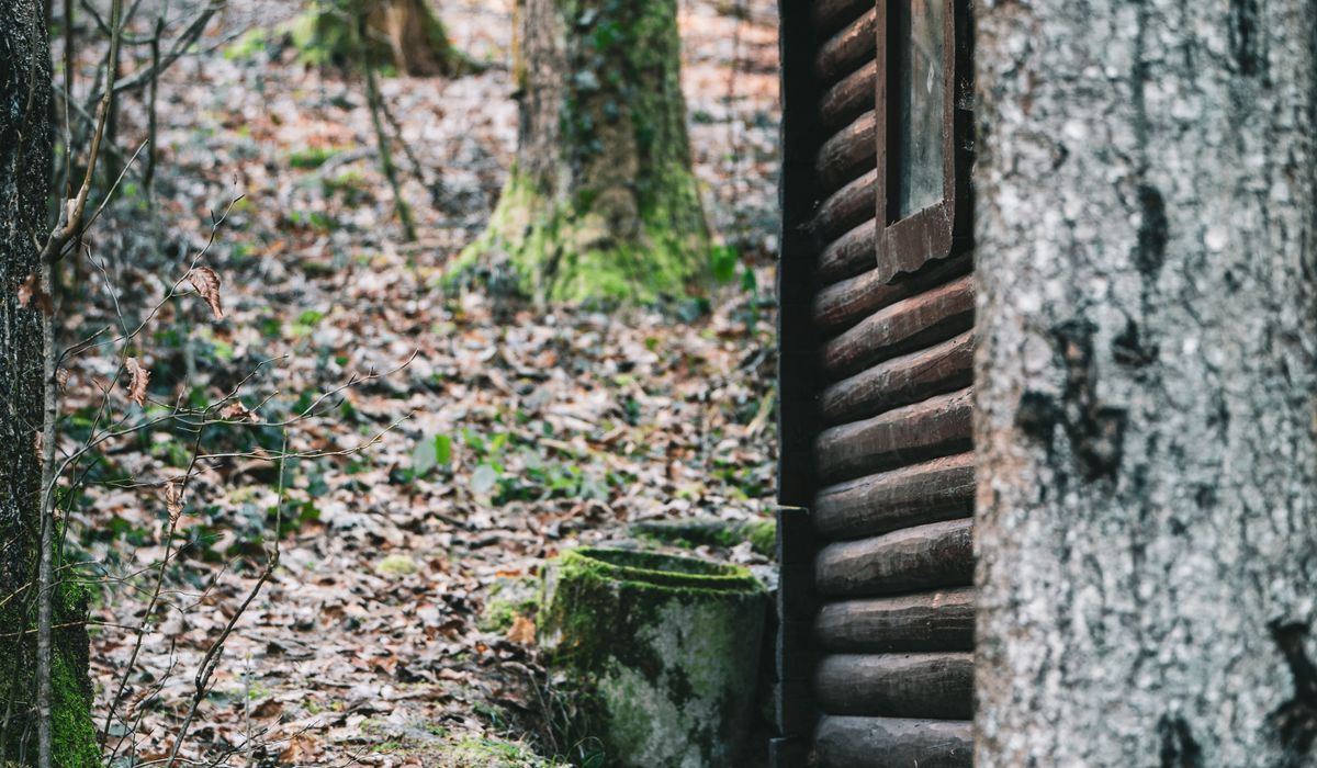 Roaming Cabin