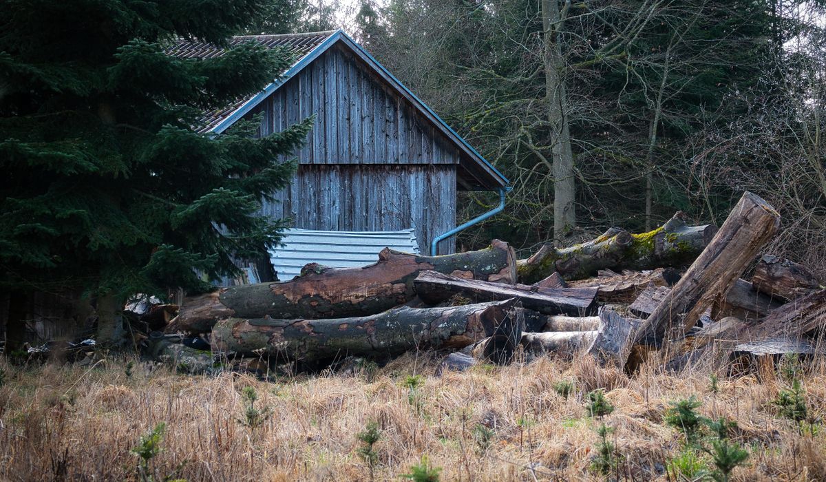 Roaming Cabin