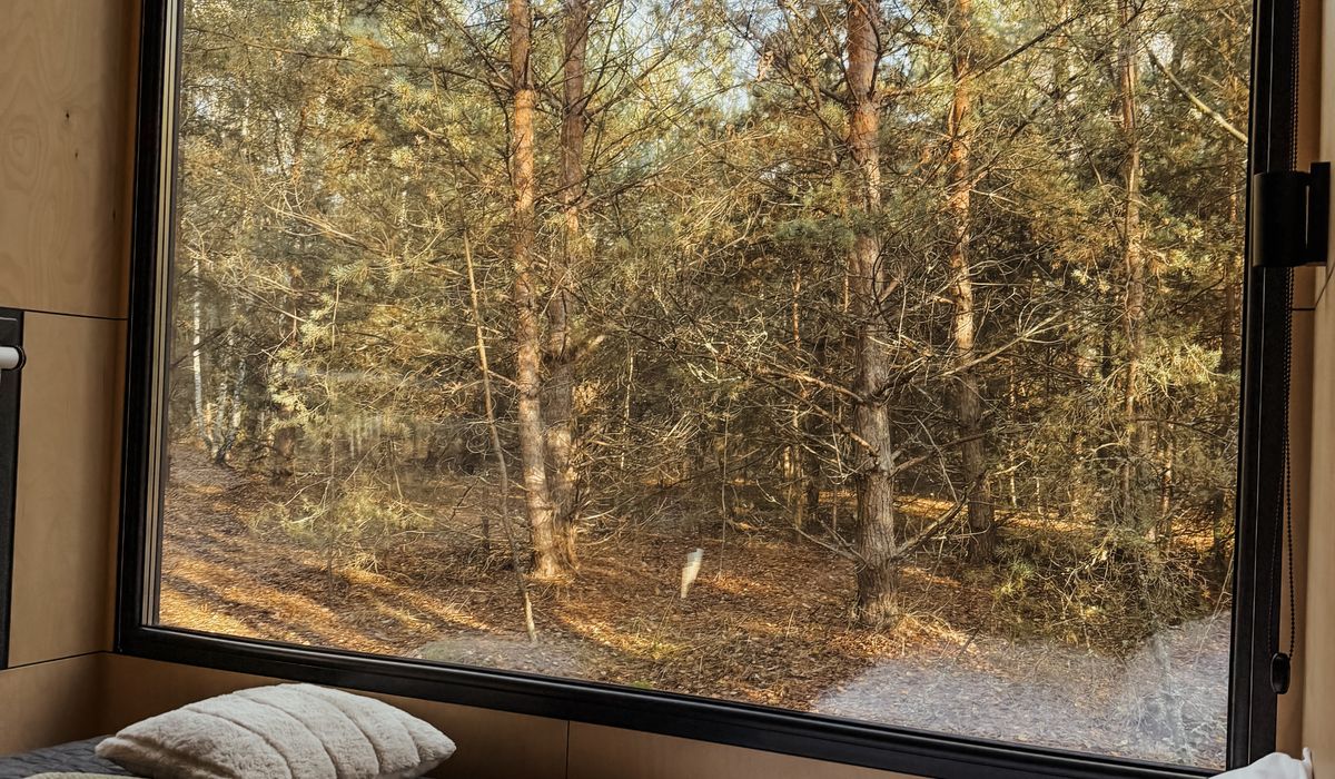 Roaming Cabin