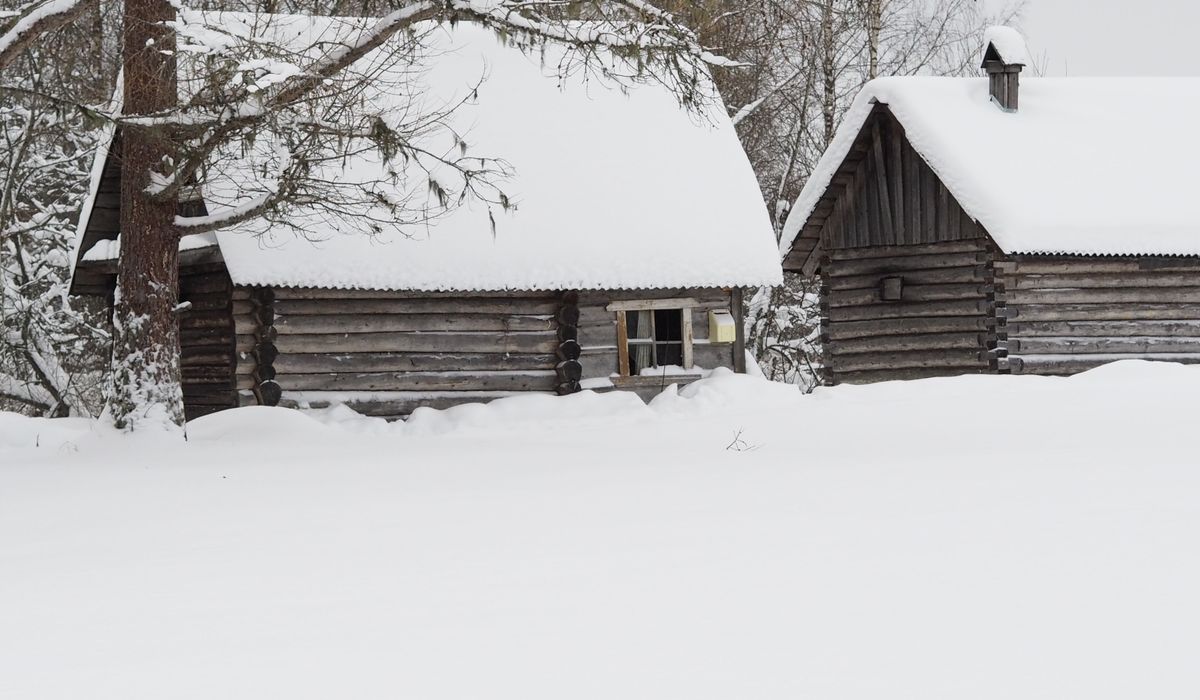 Roaming Cabin