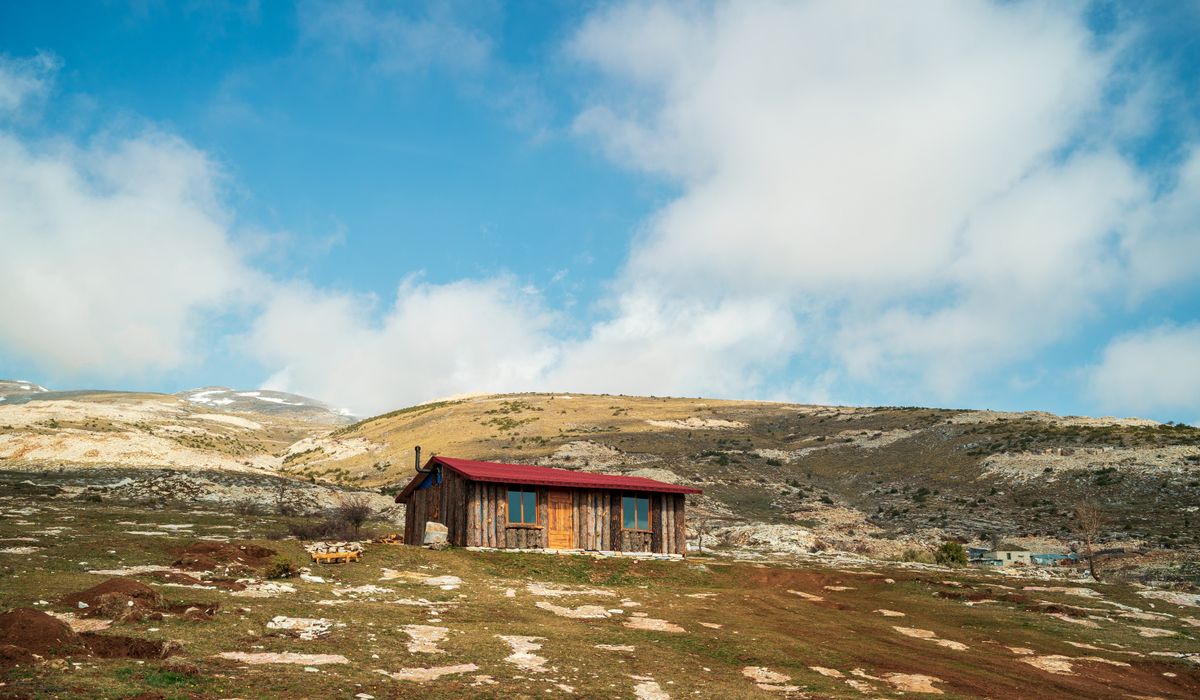 Roaming Cabin