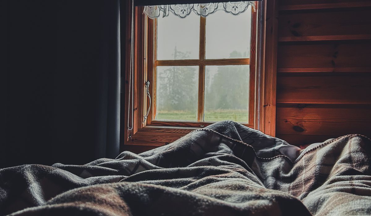 Roaming Cabin