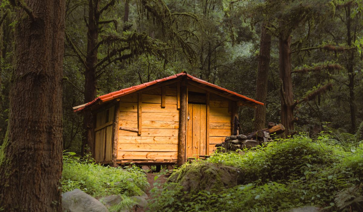 Roaming Cabin