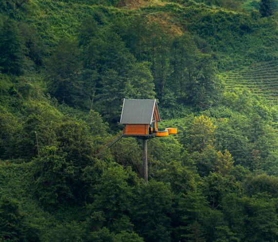 Roaming Cabin